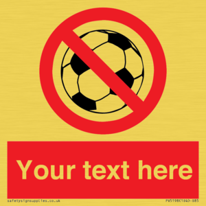 PV5198: Custom No Ball Games Sign