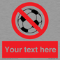 PV5198: Custom No Ball Games Sign