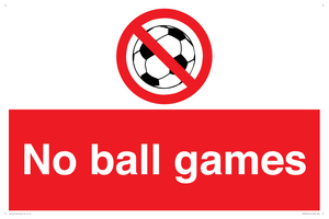 PV5245: No Ball Games