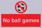 PV5245: No Ball Games