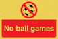 PV5245: No Ball Games