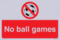 PV5245: No Ball Games