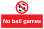 PV5245: No Ball Games