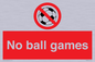 PV5245: No Ball Games