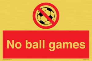 PV5245: No Ball Games
