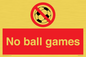 PV5245: No Ball Games