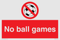 PV5245: No Ball Games
