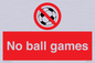 PV5245: No Ball Games
