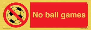 PV5245: No Ball Games