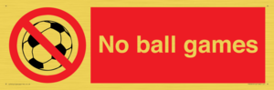 PV5245: No Ball Games
