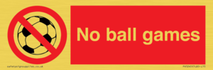 PV5245: No Ball Games