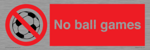PV5245: No Ball Games