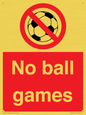 PV5245: No Ball Games