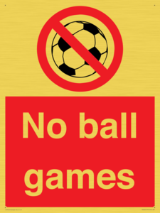 PV5245: No Ball Games