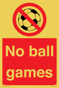 PV5245: No Ball Games