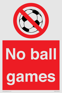 PV5245: No Ball Games