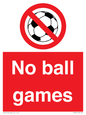 PV5245: No Ball Games