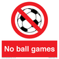 PV5245: No Ball Games