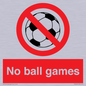 PV5245: No Ball Games