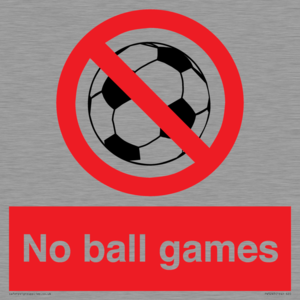 PV5245: No Ball Games