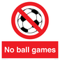 PV5245: No Ball Games