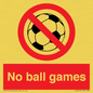 PV5245: No Ball Games