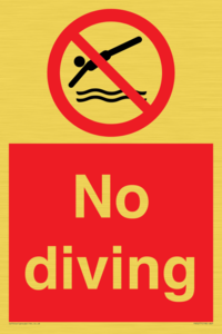 PV5277: No diving
