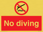 PV5277: No diving