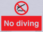 PV5277: No diving