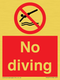 PV5277: No diving