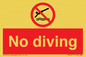 PV5277: No diving