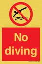 PV5277: No diving