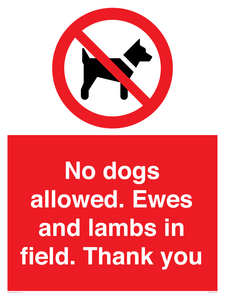 PV7264: No dogs allowed. Ewes and lambs in field. Thank you