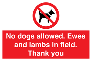 PV7264: No dogs allowed. Ewes and lambs in field. Thank you