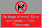 PV7264: No dogs allowed. Ewes and lambs in field. Thank you