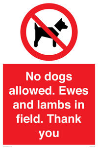 PV7264: No dogs allowed. Ewes and lambs in field. Thank you