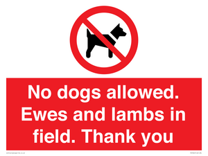 PV7264: No dogs allowed. Ewes and lambs in field. Thank you