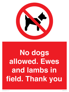 PV7264: No dogs allowed. Ewes and lambs in field. Thank you