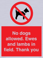 PV7264: No dogs allowed. Ewes and lambs in field. Thank you