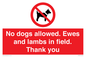 PV7264: No dogs allowed. Ewes and lambs in field. Thank you