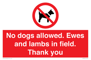PV7264: No dogs allowed. Ewes and lambs in field. Thank you