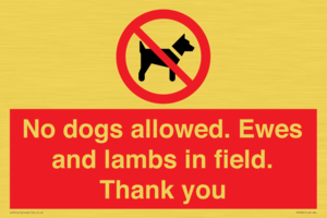 PV7264: No dogs allowed. Ewes and lambs in field. Thank you