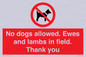 PV7264: No dogs allowed. Ewes and lambs in field. Thank you