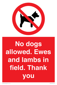 PV7264: No dogs allowed. Ewes and lambs in field. Thank you