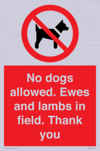PV7264: No dogs allowed. Ewes and lambs in field. Thank you