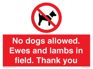 PV7264: No dogs allowed. Ewes and lambs in field. Thank you