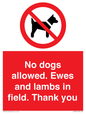 PV7264: No dogs allowed. Ewes and lambs in field. Thank you