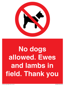 PV7264: No dogs allowed. Ewes and lambs in field. Thank you