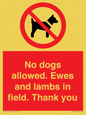 PV7264: No dogs allowed. Ewes and lambs in field. Thank you