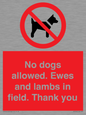 PV7264: No dogs allowed. Ewes and lambs in field. Thank you